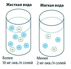 51298_03.jpg